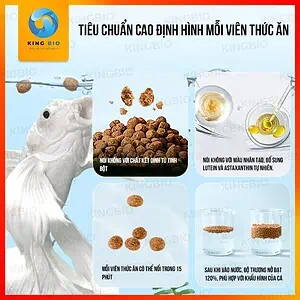 Cám cá chép sư tử Yee Butterfly Carp giàu đạm và làm sáng màu - Ảnh 2
