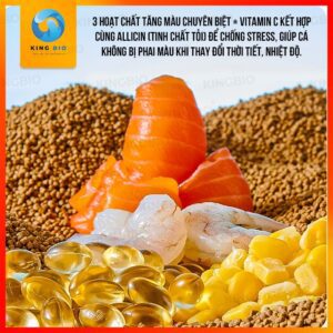 Cám cá chép sư tử Yee Butterfly Carp giàu đạm và làm sáng màu - Ảnh 4