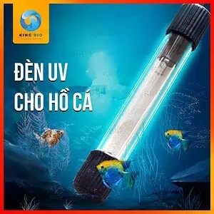 Đèn UV cho bể cá
