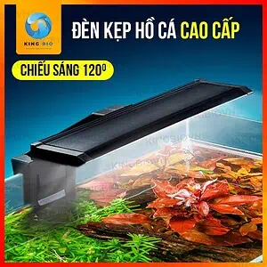 Đèn led kẹp bể cá Yee