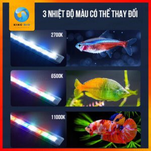 Đèn led máng cho bể cá Yee độ sáng cao tới 3600LM - Ảnh 2