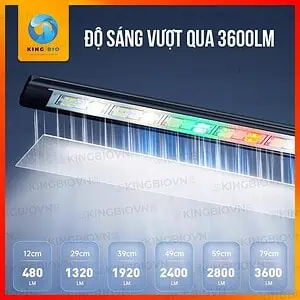Đèn led máng cho bể cá Yee độ sáng cao tới 3600LM - Ảnh 3