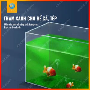 [Hộp 95g] Mầm rêu xanh Yee Algal Spores - Ảnh 2