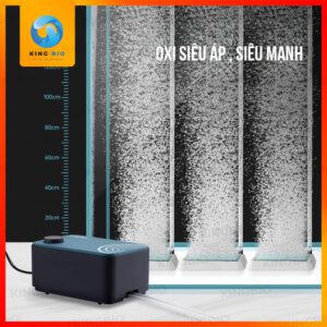 Máy sủi oxy cao cấp Cherlam siêu êm, sang trọng - Ảnh 3