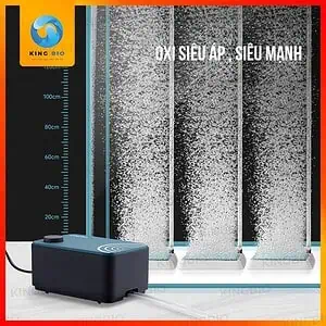 Máy sủi oxy cao cấp Cherlam siêu êm, sang trọng - Ảnh 3