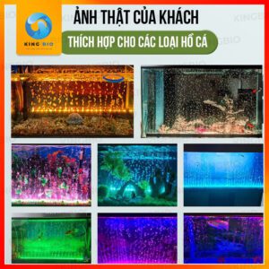 Thanh đèn sủi oxy FKSC 16 chế độ màu (lưu ý quan trọng: phải có máy oxy) - Ảnh 3