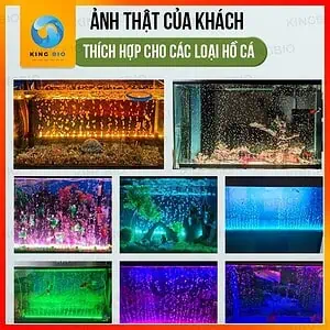 Thanh đèn sủi oxy FKSC 16 chế độ màu (lưu ý quan trọng: phải có máy oxy) - Ảnh 3