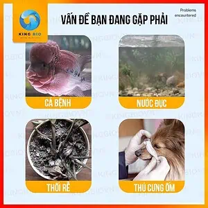 Thuốc tím Yee Disinfectant khử trùng diệt khuẩn cho bể cá - Ảnh 3