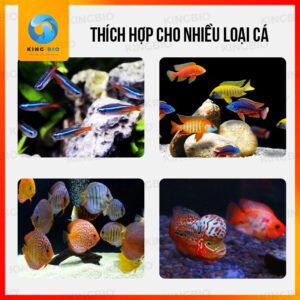 [Hộp 500ml] Trùng chỉ đông khô Voonline Tubificidae - Ảnh 4