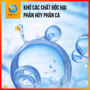 Vi sinh cao cấp Yee Restrain 6 loại vi sinh và công nghệ keo tụ chất rắn - Ảnh 3