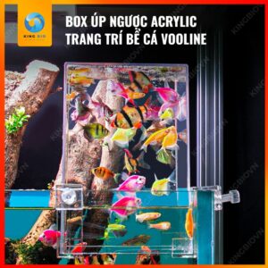 Box up ngược Acrylic Voonline