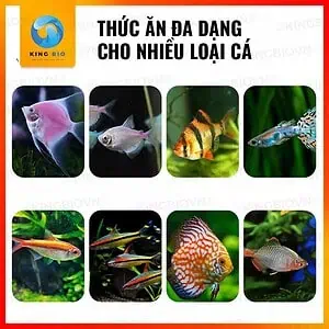 [Hộp 140g] Cám Yee Fish Food cho cá cánh buồm và các loại cá nhỏ khác (hạt chìm chậm) - Ảnh 2