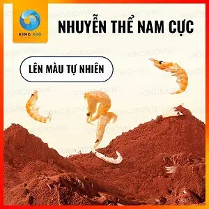 [Hộp 140g] Cám Yee Fish Food cho cá cầu vồng và các loại cá nhỏ khác (hạt chìm chậm) - Ảnh 4