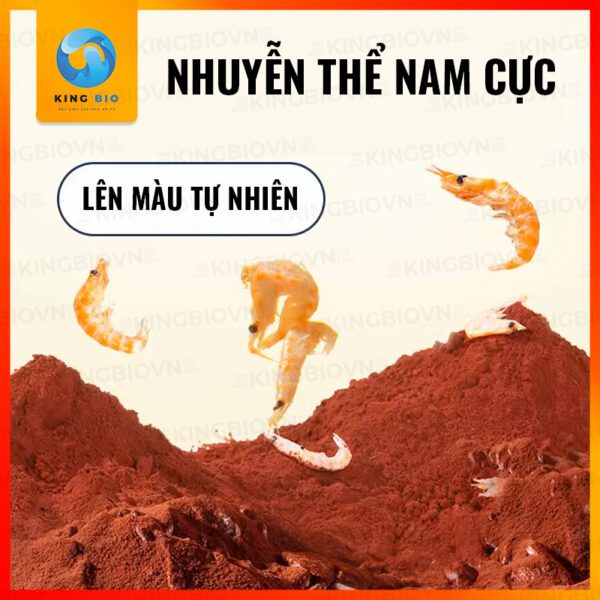[Hộp 140g] Cám Yee Fish Food cho cá cầu vồng và các loại cá nhỏ khác (hạt chìm chậm) - Ảnh 4