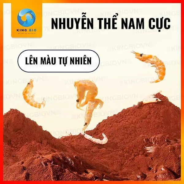 [Hộp 140g] Cám Yee Fish Food cho cá cầu vồng và các loại cá nhỏ khác (hạt chìm chậm) - Ảnh 4