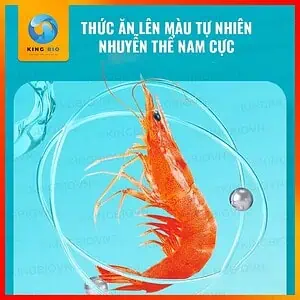 [Hộp 140g] Cám Yee Fish Food cho cá Neon và các loại cá nhỏ khác (hạt chìm chậm) - Ảnh 2