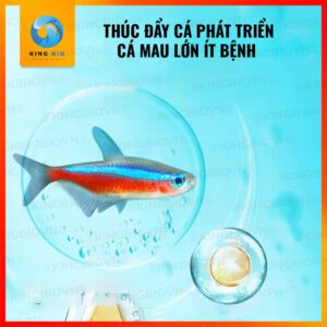 [Hộp 140g] Cám Yee Fish Food cho cá Neon và các loại cá nhỏ khác (hạt chìm chậm) - Ảnh 4