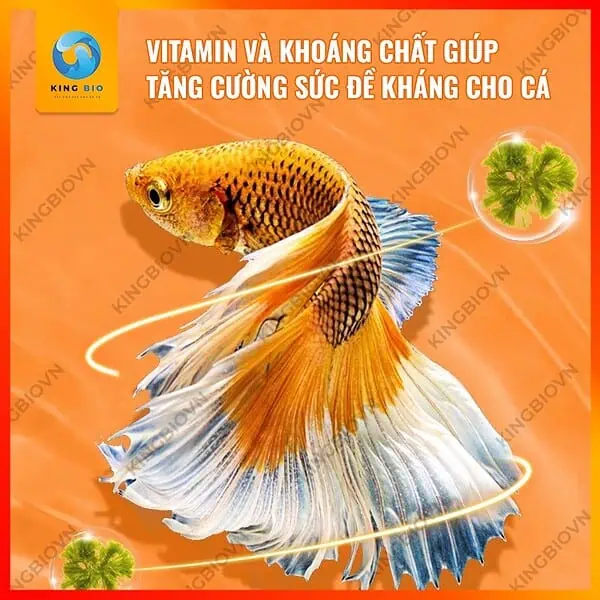 [Hộp 100g] Cám Yee Fish Food cho cá betta và các loại cá nhỏ khác - Ảnh 4