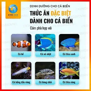 [Hộp 140g] Cám Yee Fish Food cho cá biển nhỏ - Ảnh 2