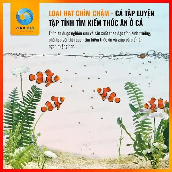 [Hộp 140g] Cám Yee Fish Food cho cá biển nhỏ - Ảnh 4