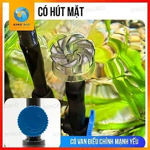 Lọc treo Sunsun YBF500 kèm lọc tách phân - Ảnh 2