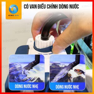 Lọc treo Sunsun YBF500 kèm lọc tách phân - Ảnh 4