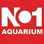 NO1