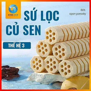 Sứ lọc củ sen Yee