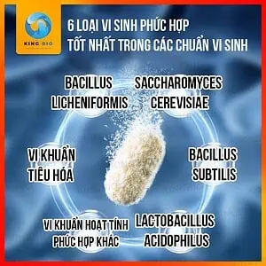 Vi sinh Cherlam TF-2 thúc đẩy tiêu hóa, cung cấp Axit Amin cho cá - Ảnh 2