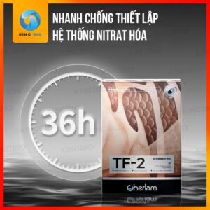 Vi sinh Cherlam TF-2 thúc đẩy tiêu hóa, cung cấp Axit Amin cho cá - Ảnh 3