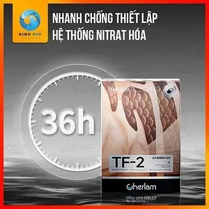 Vi sinh Cherlam TF-2 thúc đẩy tiêu hóa, cung cấp Axit Amin cho cá - Ảnh 3