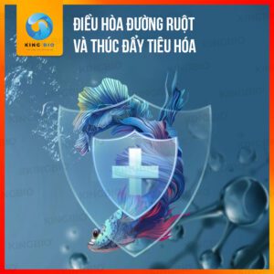 Vi sinh Cherlam TF-2 thúc đẩy tiêu hóa, cung cấp Axit Amin cho cá - Ảnh 5