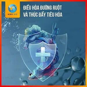 Vi sinh Cherlam TF-2 thúc đẩy tiêu hóa, cung cấp Axit Amin cho cá - Ảnh 5