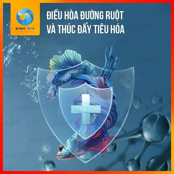 Vi sinh Cherlam TF-2 thúc đẩy tiêu hóa, cung cấp Axit Amin cho cá - Ảnh 5