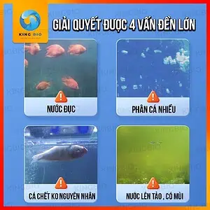 Vi sinh cao cấp thế hệ thứ 5 Yee Live Bacteria - Ảnh 2
