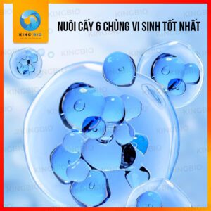 Vi sinh cao cấp thế hệ thứ 5 Yee Live Bacteria - Ảnh 3