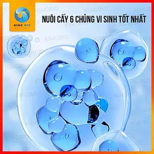 Vi sinh cao cấp thế hệ thứ 5 Yee Live Bacteria - Ảnh 3