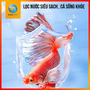 Vi sinh cao cấp thế hệ thứ 5 Yee Live Bacteria - Ảnh 4