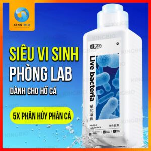 vi sinh Yee Live Bacteria