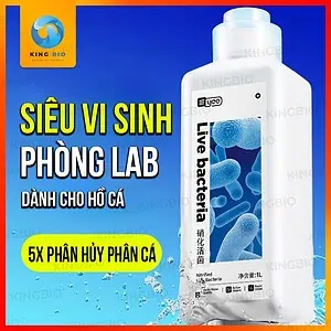 vi sinh Yee Live Bacteria