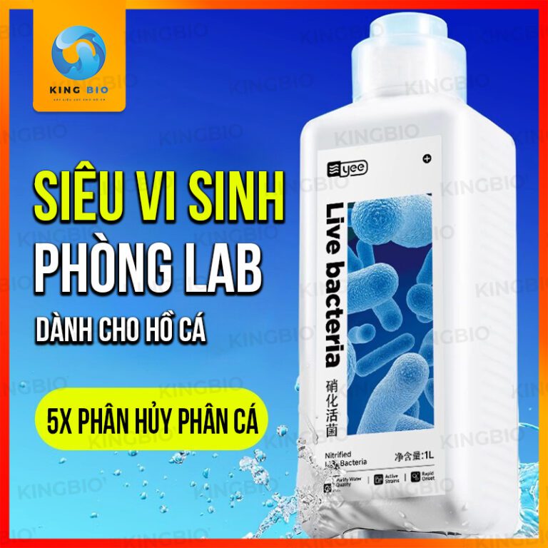 vi sinh Yee Live Bacteria