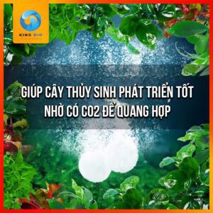 Viên sủi CO2 Yee an toàn cho cá, tốt cho cây thủy sinh - Ảnh 2