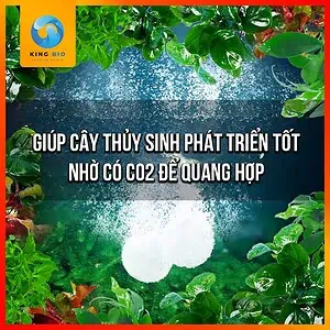 Viên sủi CO2 Yee an toàn cho cá, tốt cho cây thủy sinh - Ảnh 2