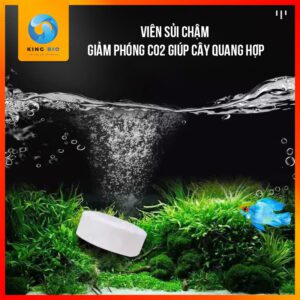 Viên sủi CO2 Yee an toàn cho cá, tốt cho cây thủy sinh - Ảnh 3