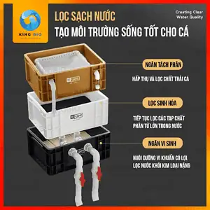Bộ lọc thùng Yee, bộ lọc baki cho hồ cá cảnh, chậu cá cảnh - Ảnh 2