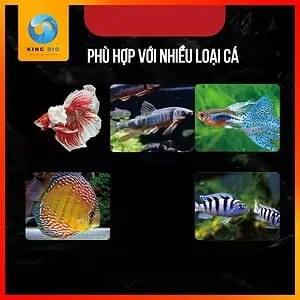 Cám cá betta Xiaoyu thức ăn giàu đạm, hỗ trợ tăng màu - Ảnh 2