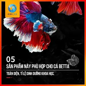 Cám cá betta Xiaoyu thức ăn giàu đạm, hỗ trợ tăng màu - Ảnh 4