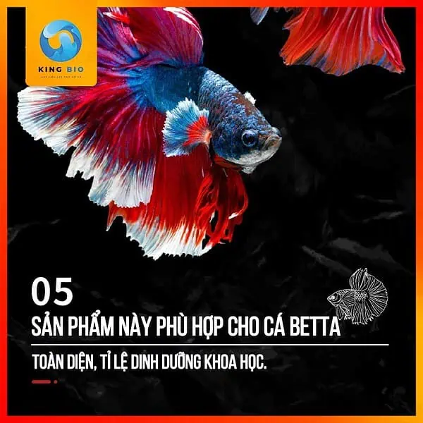 Cám cá betta Xiaoyu thức ăn giàu đạm, hỗ trợ tăng màu - Ảnh 4