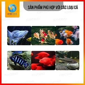[Hộp 600ml] Cám cá chép sư tử Xiaoyu thức ăn hỗ trợ làm sáng màu và hệ tiêu hóa - Ảnh 2