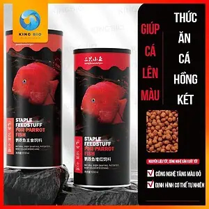 cám cá hồng két xiaoyu